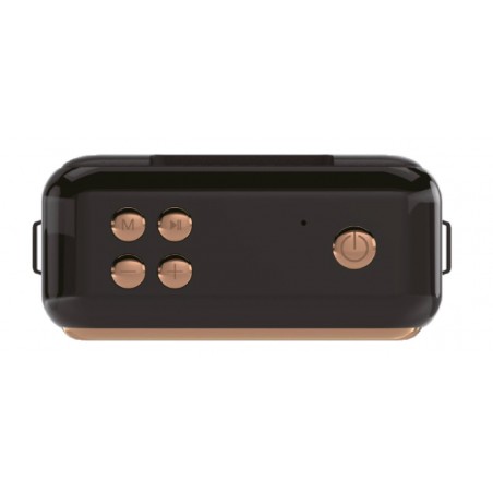Speaker Vintage Blu NelQuieOra – Pannello di Controllo