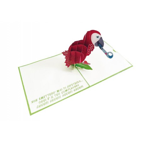 Biglietto di compleanno con pappagallo pop-up 3D e copertina verde con megafono