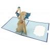 Biglietto Origami 3D Cicogna Blu Nascita Bimbo