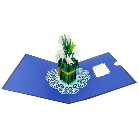 Biglietto pop-up fiori bianchi 3D su sfondo blu con decorazione