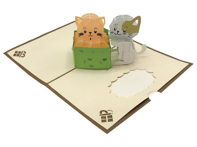 Biglietto Pop-up 3D con due gattini che sbucano da un pacco verde