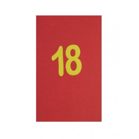 Copertina rossa con numero 18 giallo in evidenza