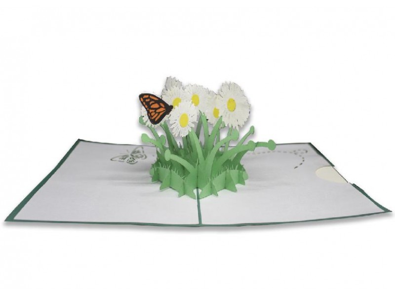 Biglietto Origami 3D aperto con margherite in rilievo e farfalla arancione