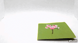 IL FIORE ROSA [4009-10]